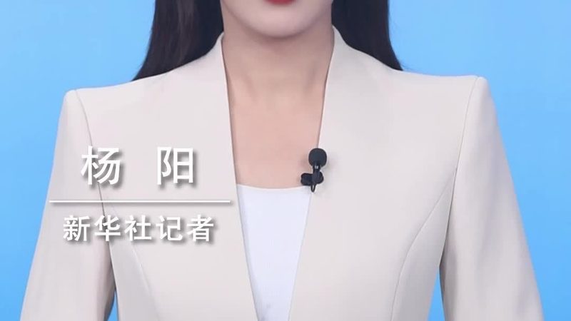 广州信息咨询服务有限责任公司
